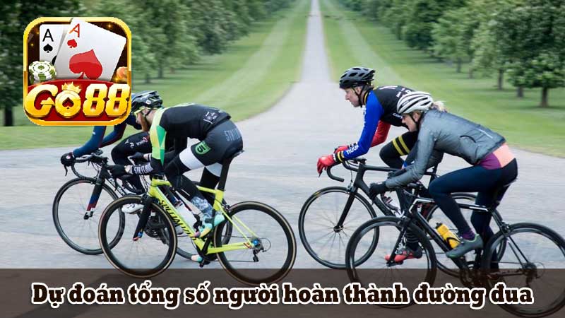 Dự đoán tổng số người hoàn thành đường đua